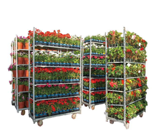 Flower Cart