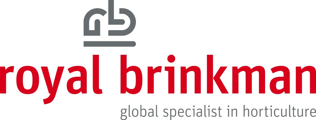 Drukwerk