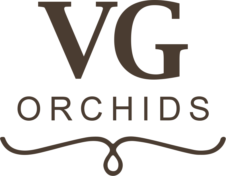 logo (1)