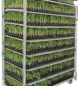 Nursery Cart-Germination Cart-Rack Trolley