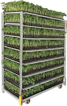 Nursery Cart-Germination Cart-Rack Trolley