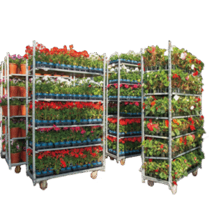 Flower Cart & Shelves Types