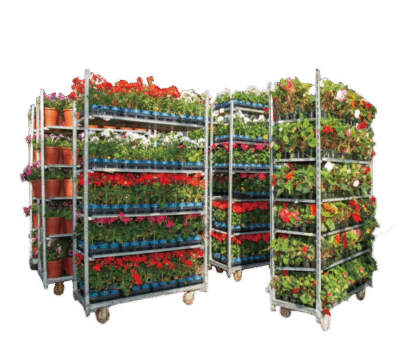 Flower Cart & Shelves Types